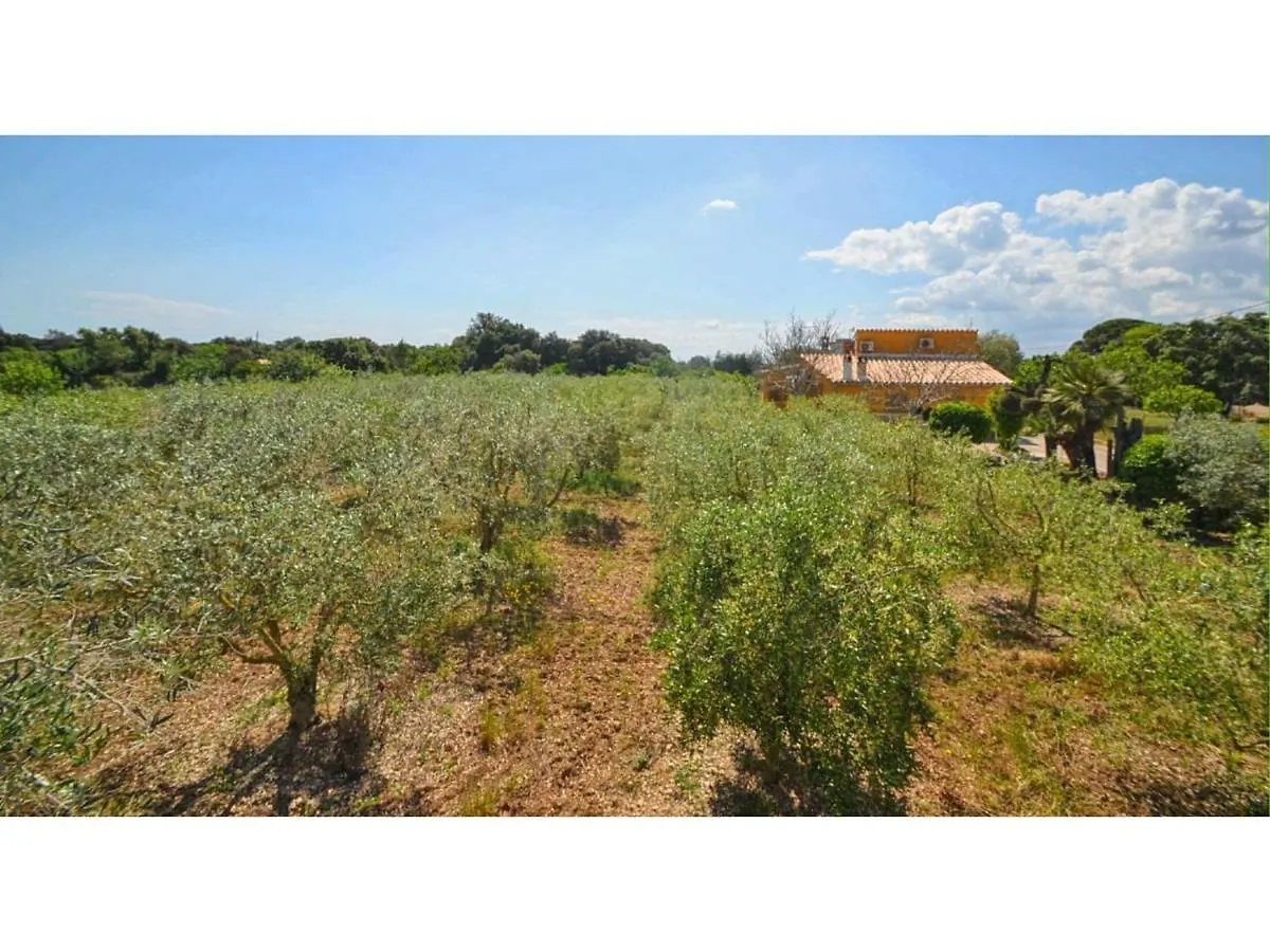 Belvilla By Oyo Sa Sini Buger Holiday home